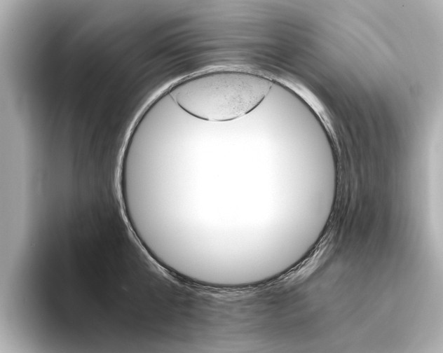 X0000094370807200711020752