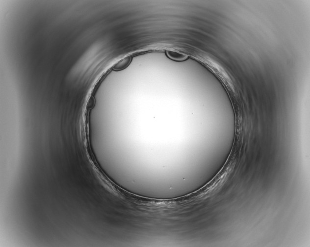 X0000094370808200711020752