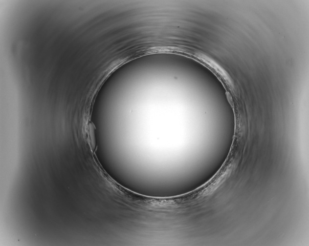 X0000094370809200711020752