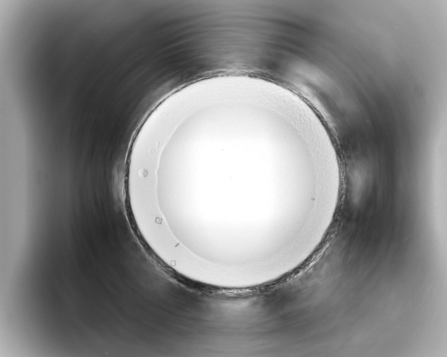 X0000094370810200711020752