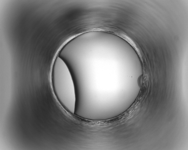 X0000094370811200711020752