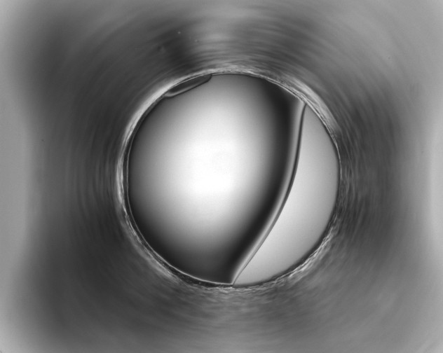 X0000094370812200711020752