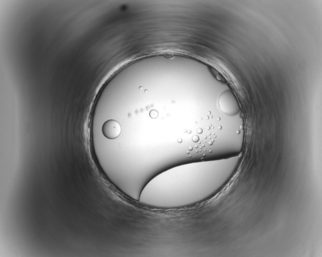 X0000094370814200711020752