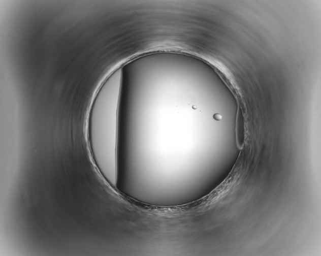X0000094370815200711020752