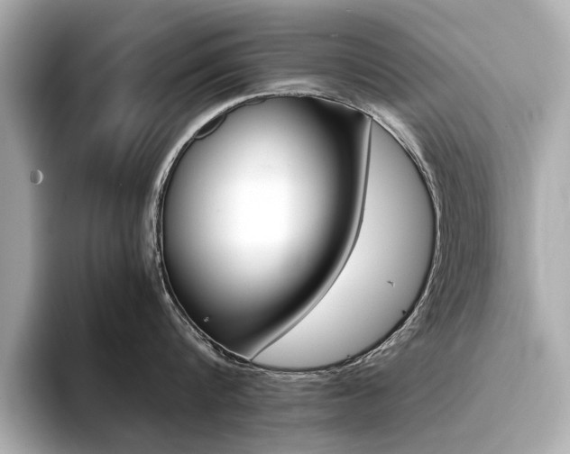 X0000094370816200711020752