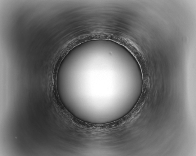 X0000094370821200711020751
