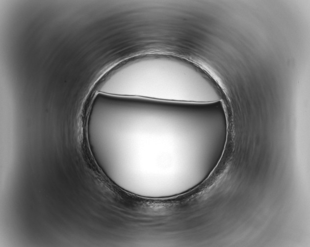 X0000094370829200711020751