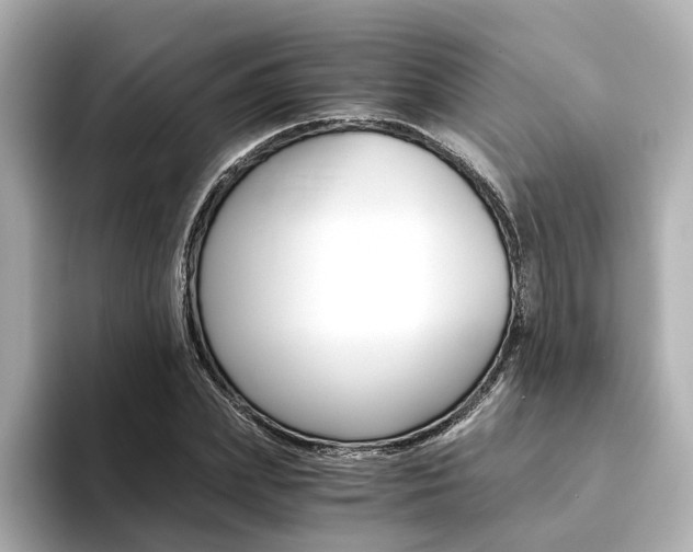 X0000094370831200711020751