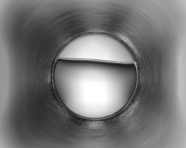 X0000094370833200711020751