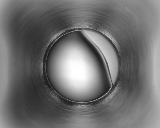 X0000094370834200711020751