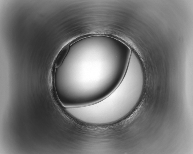 X0000094370838200711020752