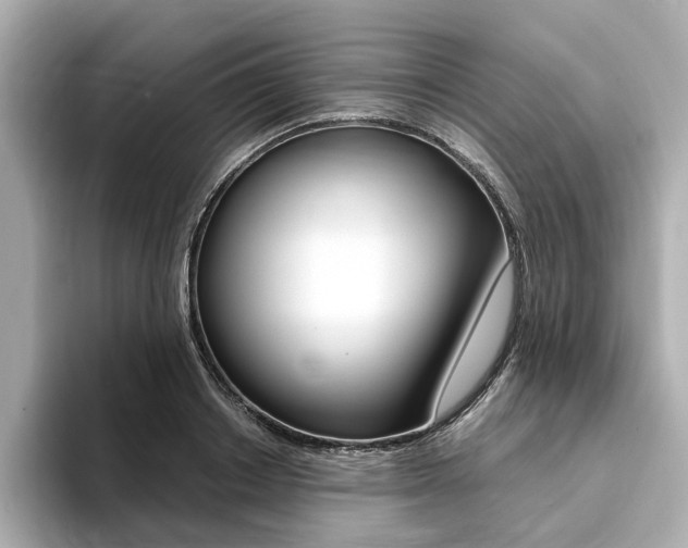 X0000094370842200711020752