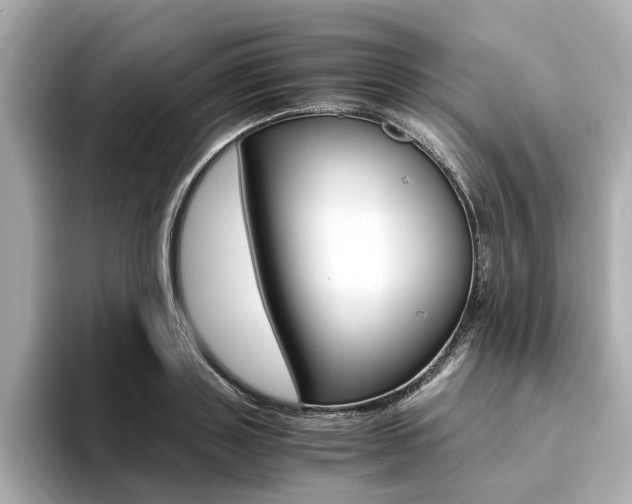 X0000094370843200711020752