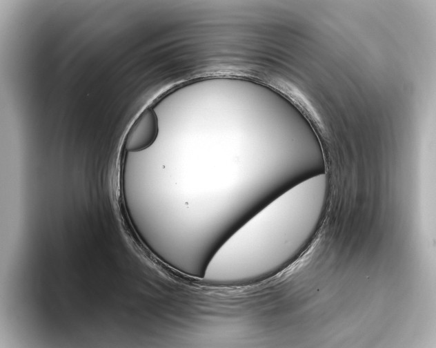 X0000094370844200711020752