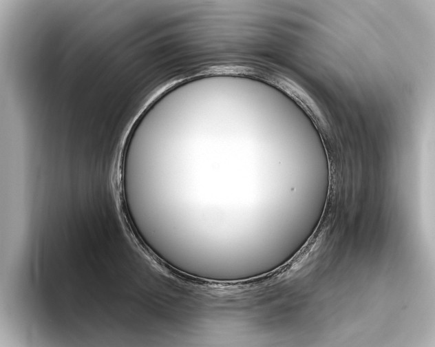 X0000094370852200711020752
