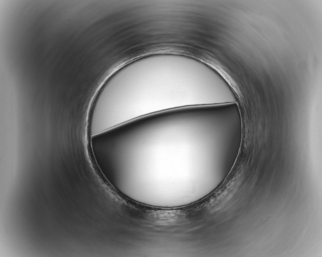X0000094370853200711020752