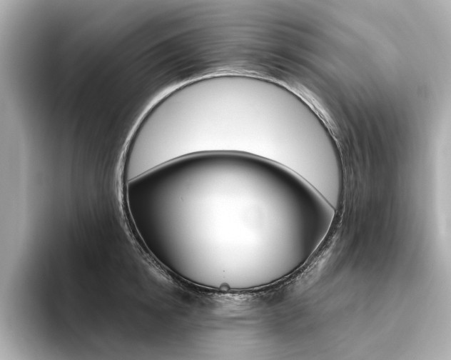 X0000094370854200711020752