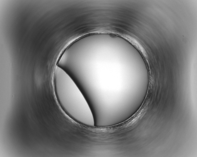 X0000094370855200711020752