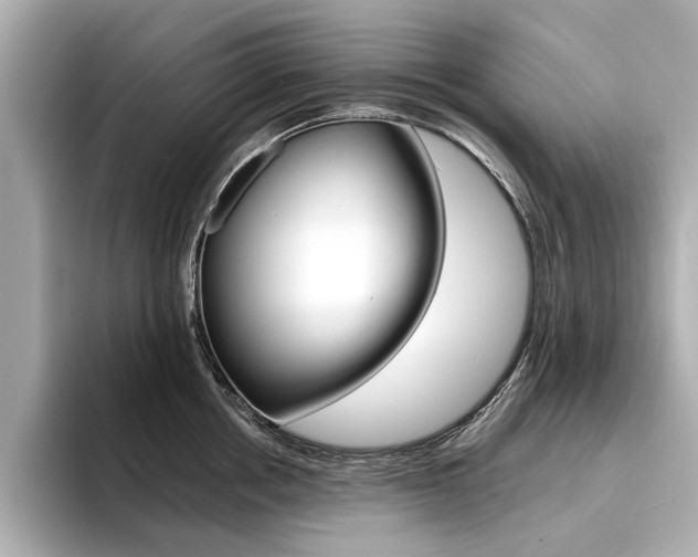 X0000094370858200711020752