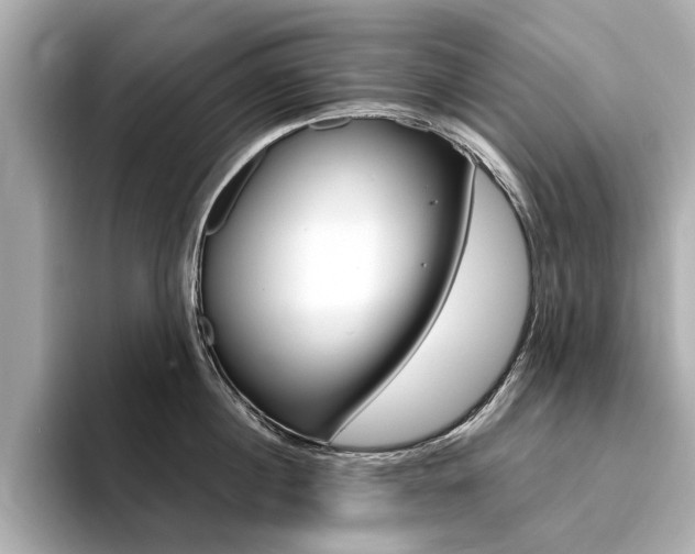 X0000094370860200711020752