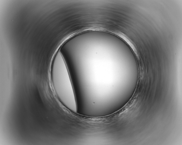 X0000094370861200711020752