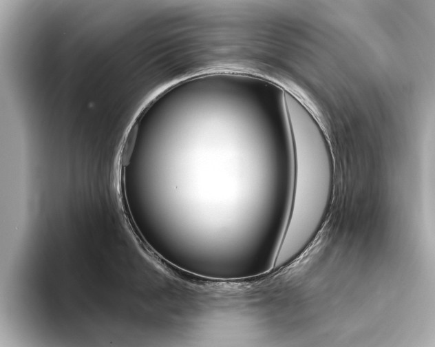 X0000094370862200711020752