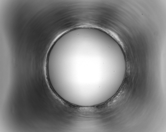 X0000094370863200711020752