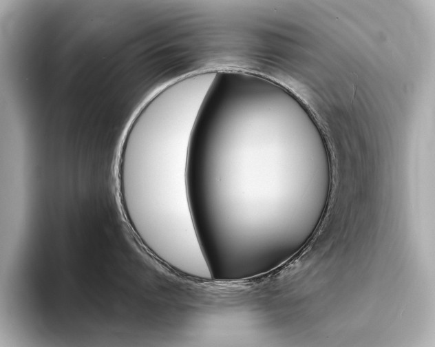 X0000094370864200711020752