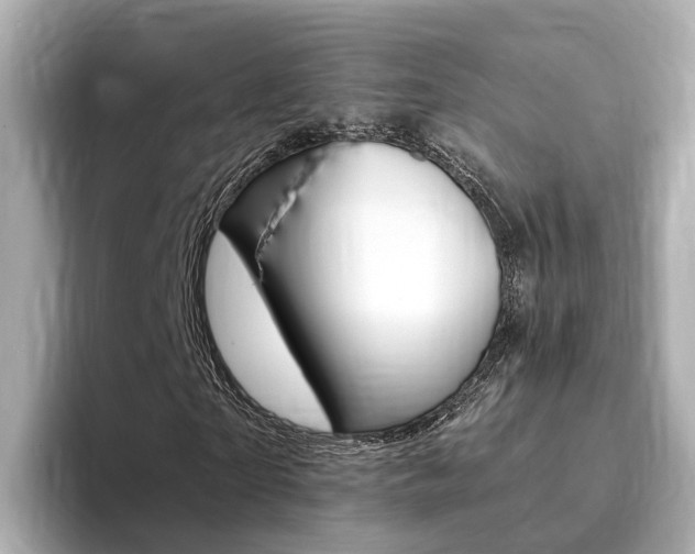 X0000094370865200711020751