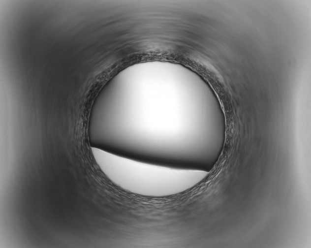 X0000094370869200711020751