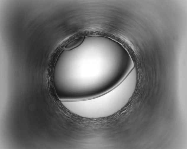 X0000094370872200711020751