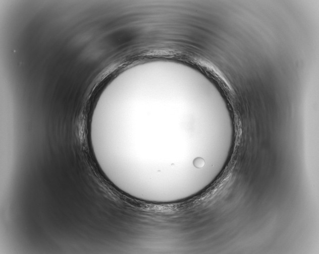 X0000094370874200711020751