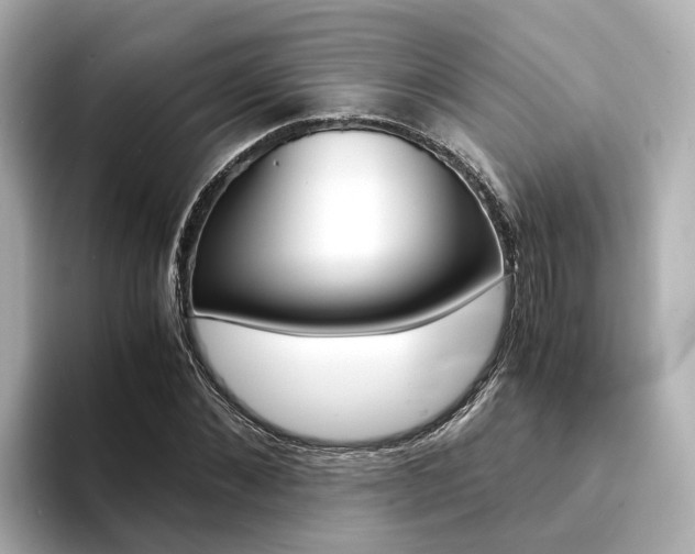 X0000094370876200711020751