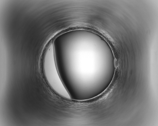 X0000094370877200711020751