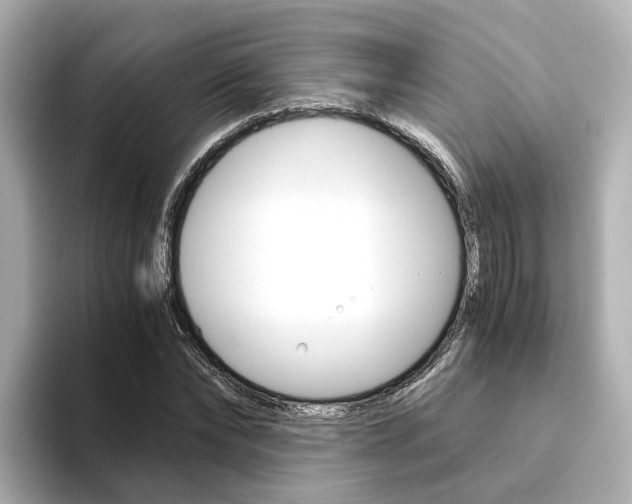 X0000094370878200711020751