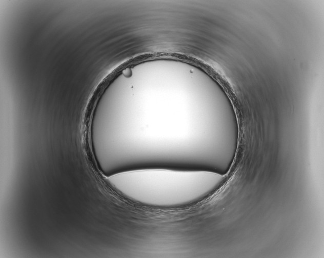 X0000094370879200711020751