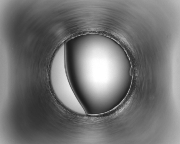 X0000094370881200711020751
