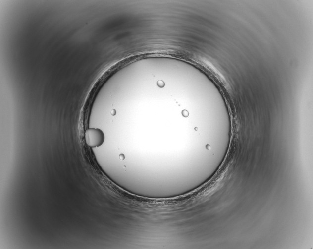 X0000094370883200711020751