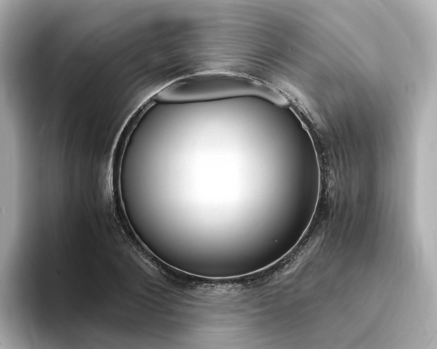 X0000094370884200711020751