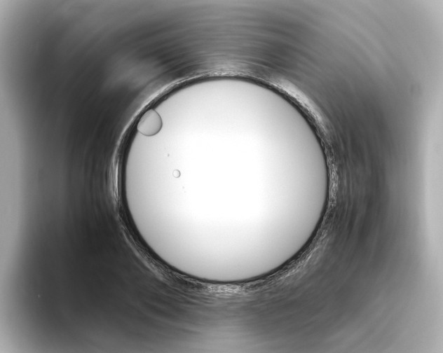 X0000094370886200711020751