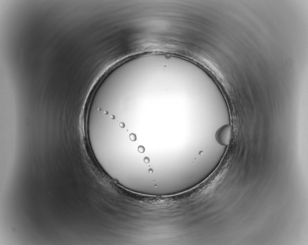 X0000094370891200711020751