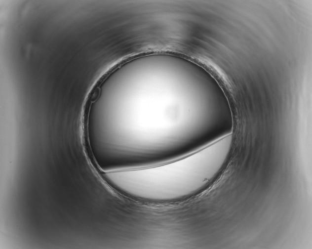 X0000094370894200711020751