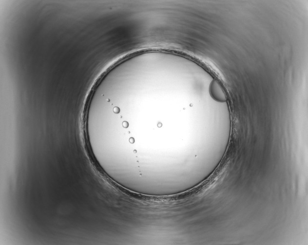 X0000094370895200711020751