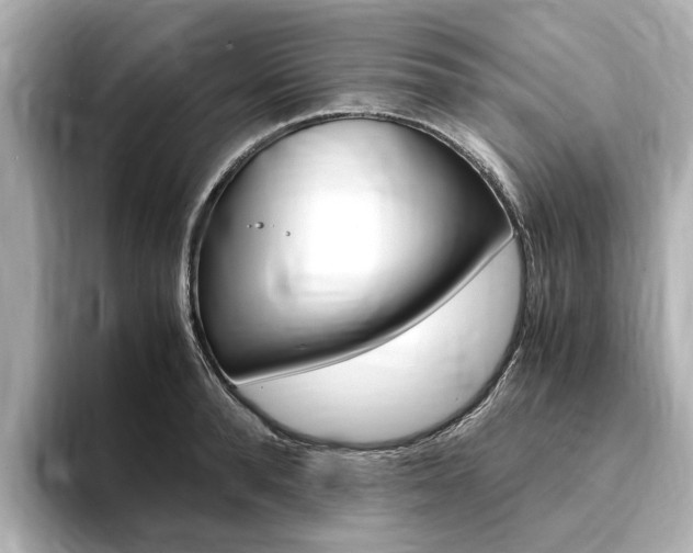 X0000094370896200711020751