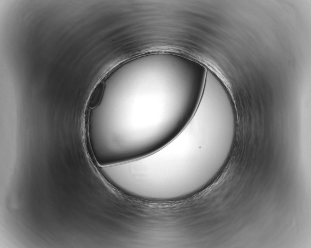 X0000094370898200711020751