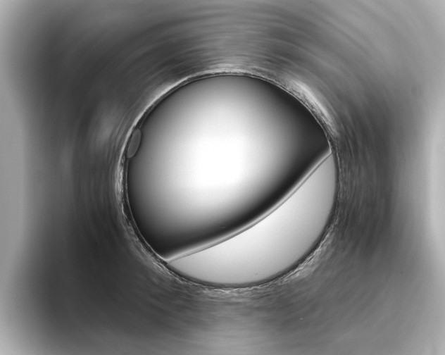 X0000094370900200711020751