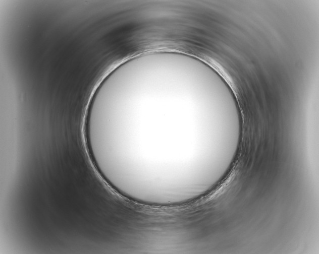 X0000094370901200711020751