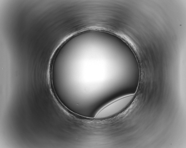 X0000094370902200711020751