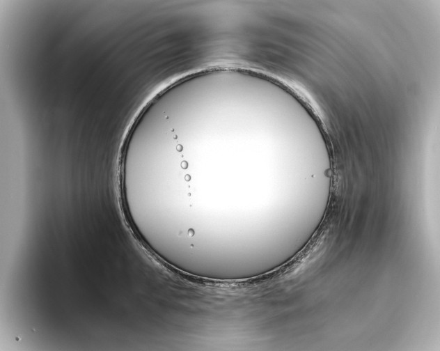 X0000094370903200711020751