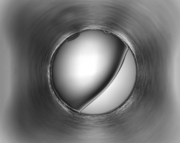 X0000094370906200711020751
